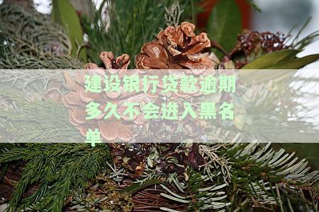建设银行的贷款逾期了怎么办，如何处理建设银行贷款逾期问题？