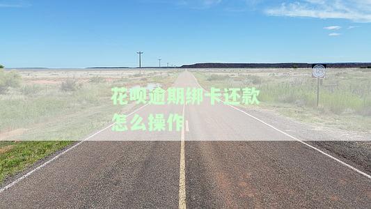 花呗逾期绑卡还款怎么操作-花呗逾期绑卡还款怎么操作的