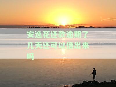 安逸花逾期几天还进去，能否取出来？影响再借吗？会否上征信？多久能结清？