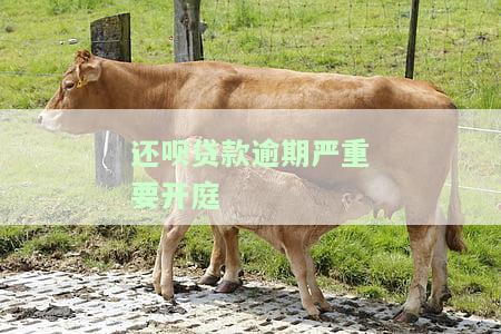 还呗逾期被起诉了,开庭前还清可以吗，还呗逾期遭起诉，开庭前全额还款可行吗？