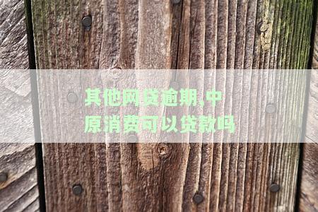 其他网贷逾期,中原消费可以贷款吗，有其他网贷逾期记录，是否还能申请中原消费贷款？