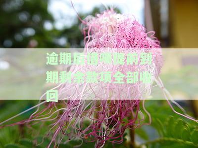 借呗逾期被布提前到期，紧急通知：借呗逾期将被提前布到期，请尽快处理还款！