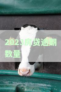 全国房贷逾期率：2020及2021年数据比较分析