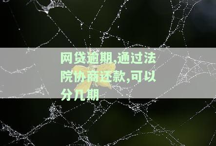 网贷逾期,通过法院协商还款,可以分几期