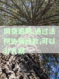 网贷协商还款能否分期？流程、期限、额度及成功率全解析