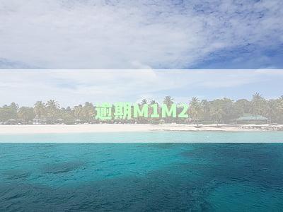 逾期M1和M2的区别：全面解析M1、M2、M3、M4的逾期含义与阶差异