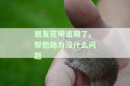 朋友花呗逾期了,帮他助力没什么问题