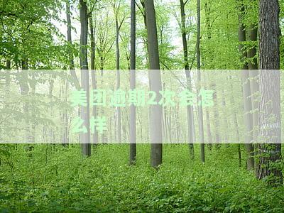 美团逾期2天没事吧？影响大吗？是否会上征信？
