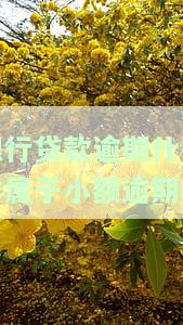 银行贷款逾期什么样属于小额逾期呢