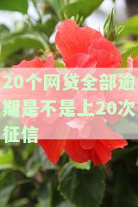 20个网贷全部逾期是否会上20次征信记录？