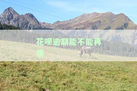 花呗逾期能否再次借款、还款及使用？