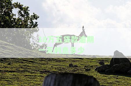 18万五贷款逾期一天利息多少？正常利率计算及逾期后果探讨