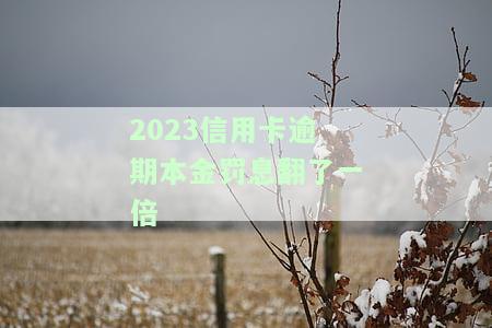 2023信用卡逾期本金罚息翻了一倍吗，【热点】2023年信用卡逾期，本金罚息翻倍！你中招了吗？