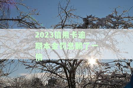 信用卡逾期罚息逾期利息计算及合法性解析