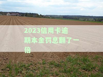 2021年信用卡逾期还本金，警示：2021年信用卡逾期还款，小心本金受损！