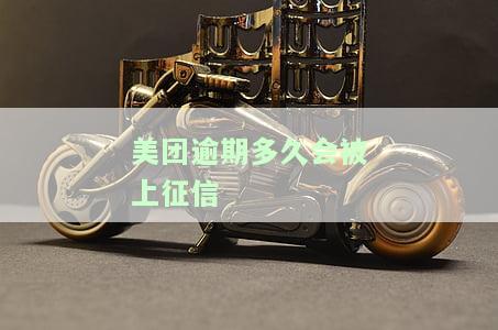 美团逾期多久会上报征信，美团逾期多久将被上报至个人征信记录？