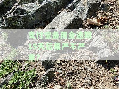 支付宝备用金逾期半个月会有什么后果，支付宝备用金逾期半月的严重后果，你必须知道！