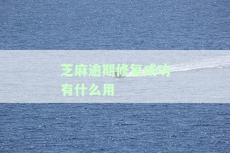 芝麻逾期修复成功有什么用-芝麻逾期修复成功有什么用?