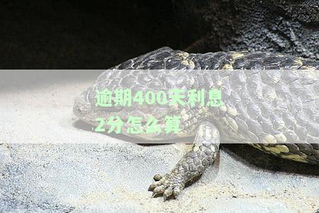 逾期400天利息2分怎么算
