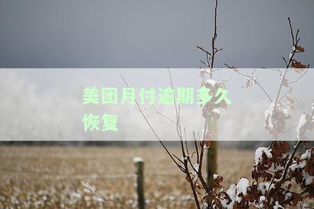 美团月付逾期后续程序详解：内容、流程及注意事