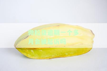 微粒贷逾期一个多月会被起诉吗