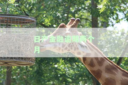 东风日产金融逾期两个月的严重后果是什么？