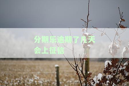分期乐逾期几天会上征信？影响严重吗？快来了解！