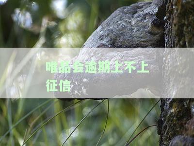 唯品会逾期会被起诉吗？了解逾期还款的严重后果与可能的法律行动
