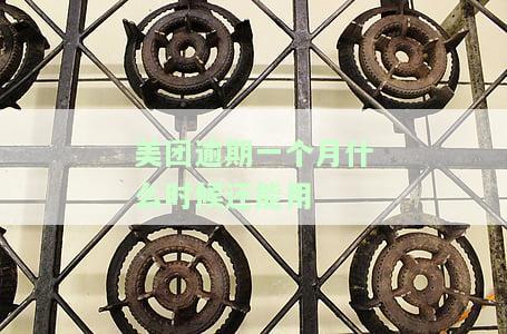 美团逾期一个月：何时能再次使用？解决方案及影响解析
