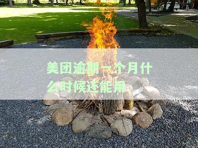 美团逾期一个月，何时能再次使用借呗？已经还款，能否提取出来？逾期一个月后会对个人信用产生影响吗？