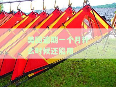美团逾期一个月怎么办？会产生哪些后果？如何处理逾期？会对个人信用有影响吗？是否可以提取还款？