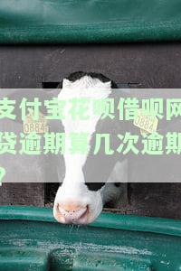 支付宝花借呗的逾期人多吗，揭秘：支付宝花借呗逾期人数众多，你是否也在其中？