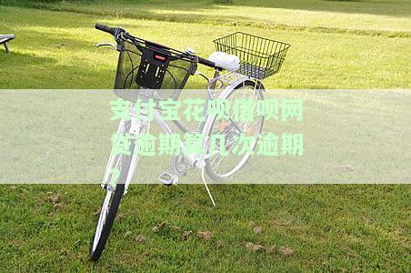 支付宝花呗借呗网贷逾期算几次逾期?