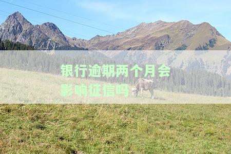 银行逾期两个月会影响征信吗