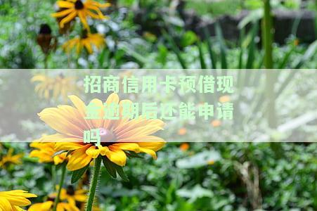 招商预借现金还不上怎么办，如何解决招商银行预借现金还款问题