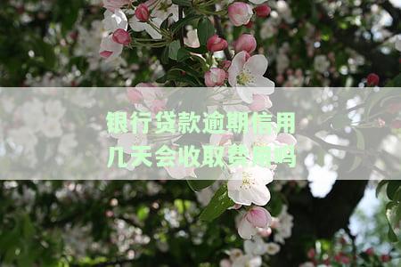 银行贷款逾期几天上征信，逾期还款几天会记录在征信中？银行贷款的信用管理规定解析