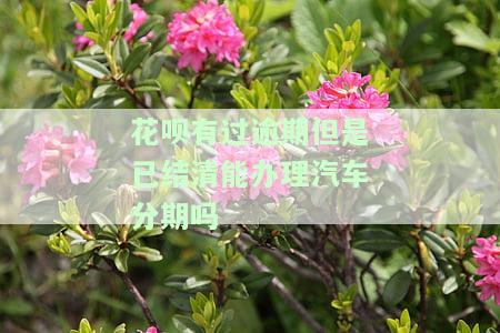 花呗有过逾期但是已结清能办理汽车分期吗怎么办，如何解决花呗逾期已结清但仍无法办理汽车分期的问题？