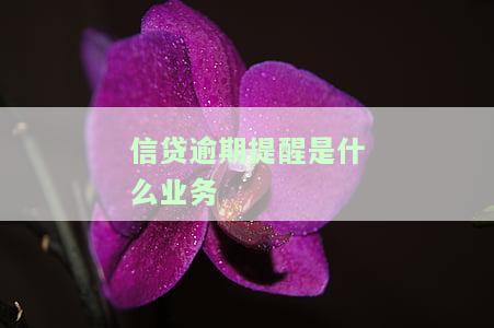 贷款逾期提醒是什么意思，理解贷款逾期提醒：什么是逾期，为什么重要？