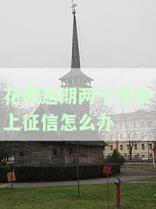 花呗逾期两个月有影响吗？可能会导致信用受损、产生罚息和滞纳金，甚至可能影响到芝麻信用分。如何解决？
