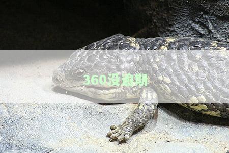 360没逾期-360没逾期怎么申请期或者分期还款