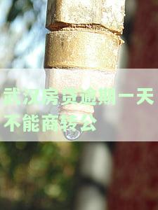 房贷逾期一天无法商转公，房贷逾期一天，商转公申请受阻！