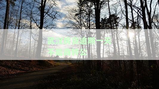武汉商转公房贷逾期一次，武汉市民遭遇商转公房贷逾期，或面临严重后果