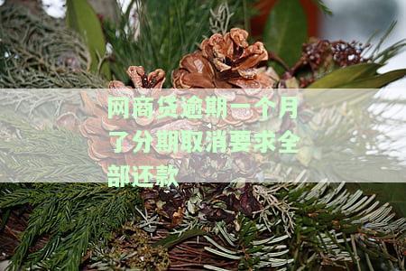 网商贷逾期一个月了分期取消要求全部还款合法吗，网商贷逾期一个月，分期取消要求全部还款是否合法？