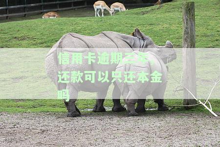 逾期三年的信用卡还款后能否继续使用？影响房贷审批吗？信用能否恢复？只还本金可行吗？