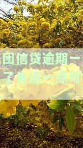 美团借款逾期一个月后，需要归还多少本金、利息？以及如何处理逾期问题，避免进一步的影响。