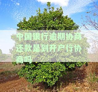 中国银行贷款逾期协商好又逾期了咋办，中国银行贷款逾期：协商后再次违约，如何应对？
