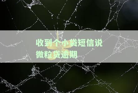 收到个小袋短信说微粒贷逾期了，突然接到短信，微粒贷出现逾期情况！
