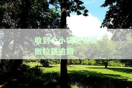 收到微粒贷催款短信，警惕！收到微粒贷催款短信，可能是诈骗，请及时核实！