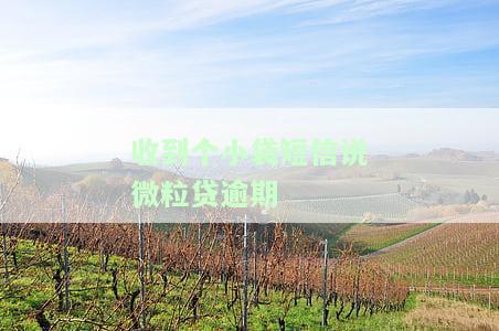 手机短信收到微粒贷：是真的借款合约还是逾期信息？