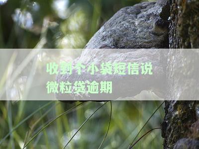收到个小袋短信说微粒贷逾期-收到个小袋短信说微粒贷逾期是真的吗